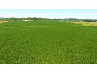 Property photo 23 - LAND AUCTION - 1,193+/- ACRES IN 14 TRACTS IN PIKE & GIBSON COUNTY, INDIANA
